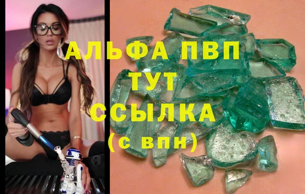 стаф Богородицк