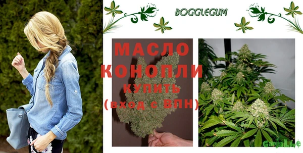 дмт Богданович