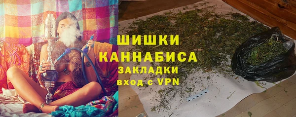 стаф Богородицк