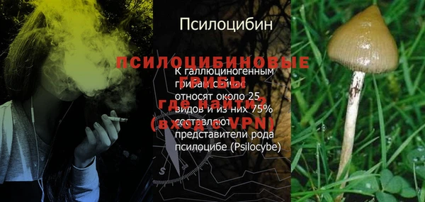 дмт Богданович