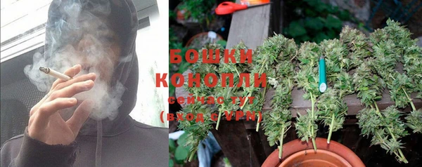 стаф Богородицк