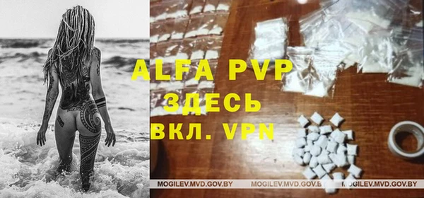 дмт Богданович