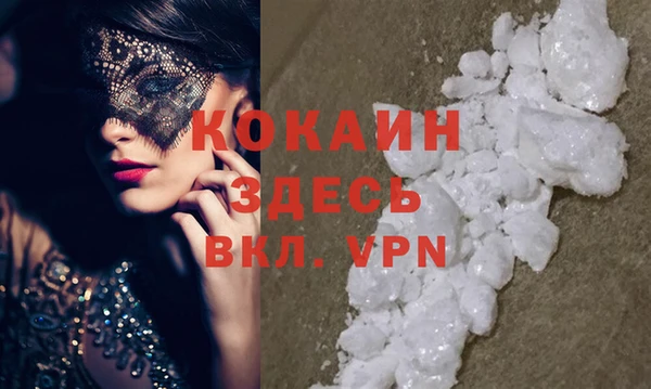 дмт Богданович