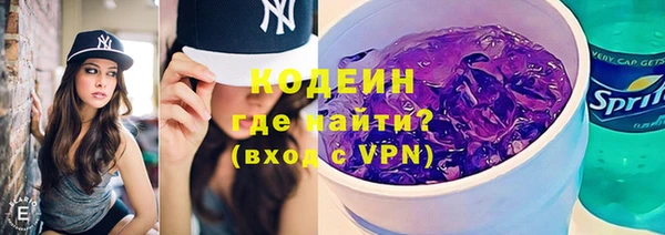 дмт Богданович
