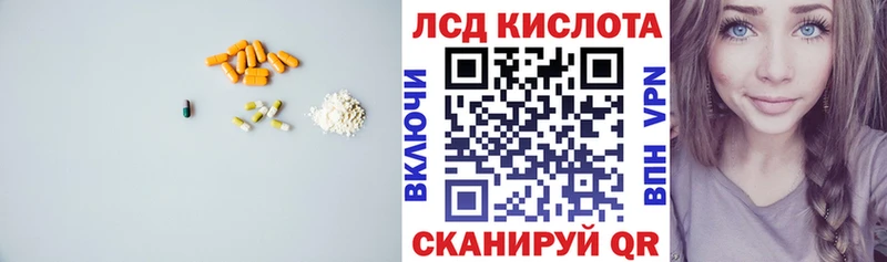 shop как зайти  гидра ссылка  Дрезна  Лсд 25 экстази кислота 