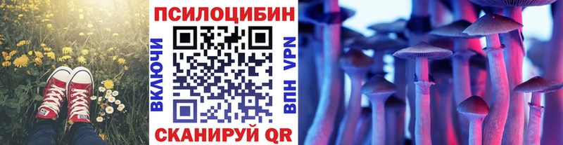Псилоцибиновые грибы Psilocybe  как найти   Дрезна 